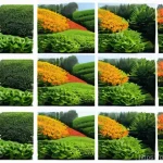 Home 11 마인드풀니스의 실천에서 생기는 당황스러움 극복하기 - Here are three detailed image generation prompts in English, based on the provided text about mindfu...